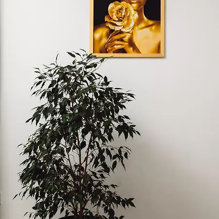 Ξενοδοχείο Arcadia Gold Οδησσός