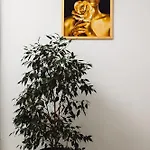 Hotel Arcadia Gold Oděsa
